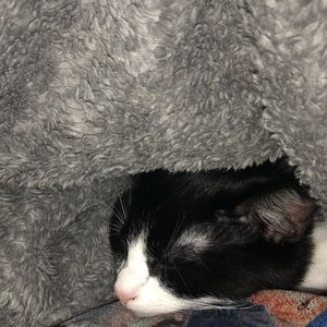 Meet your Posher, Tori